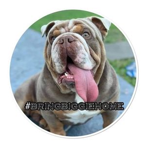 Meet your Posher, Leanne